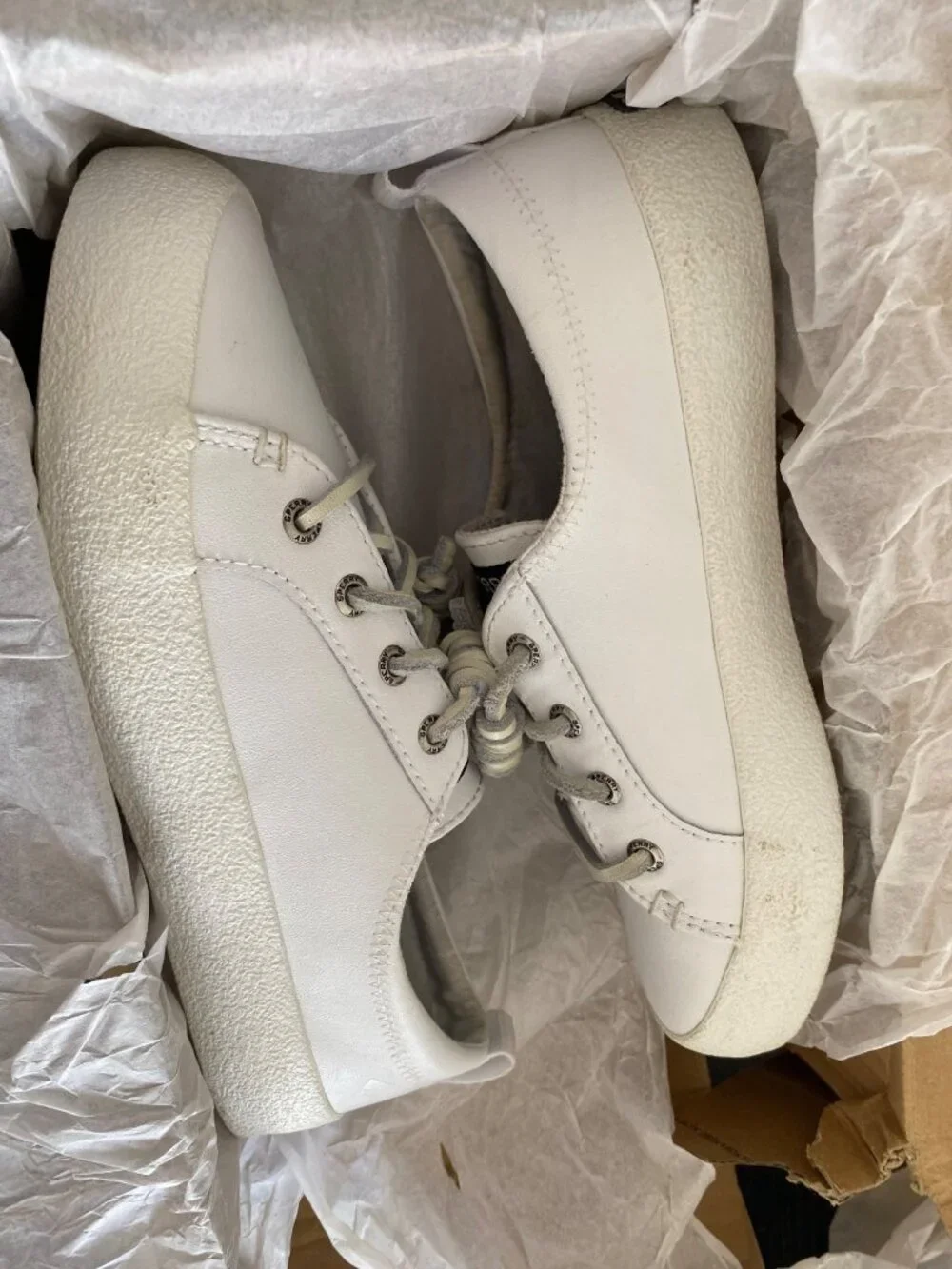 Sperry note bottom